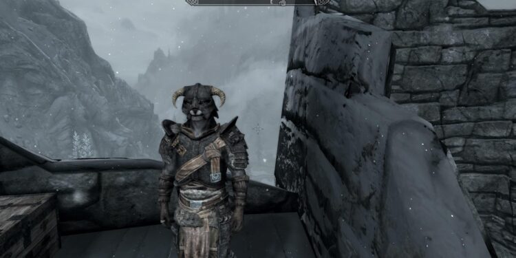 Khajit, Skyrim